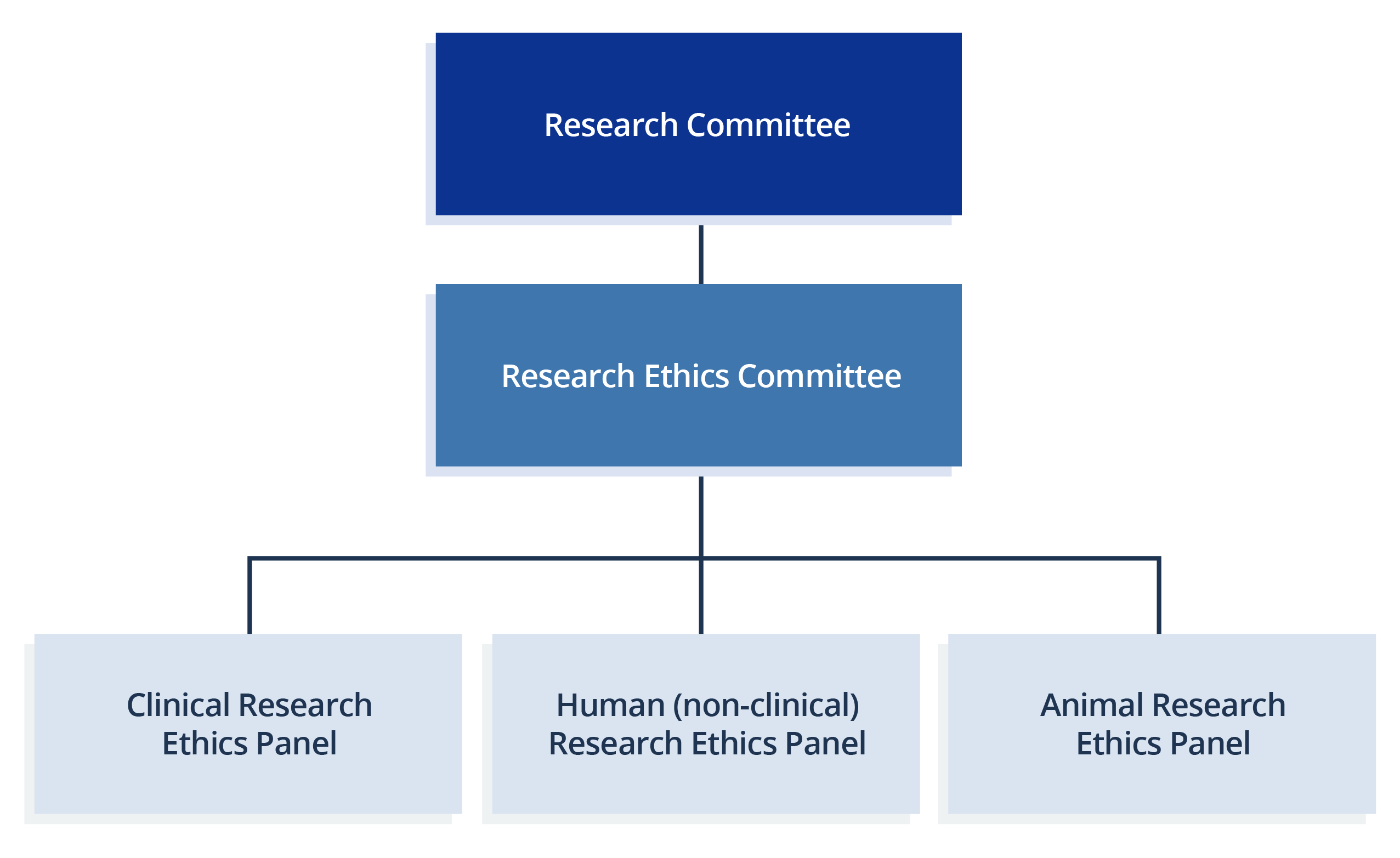 The Chart of Governance Structure